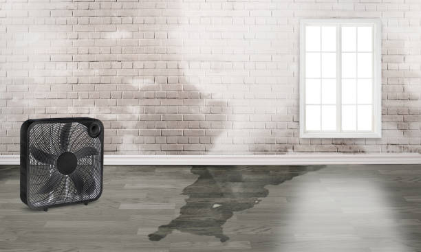 Best Water damage restoration insurance claims  in Royersford, PA