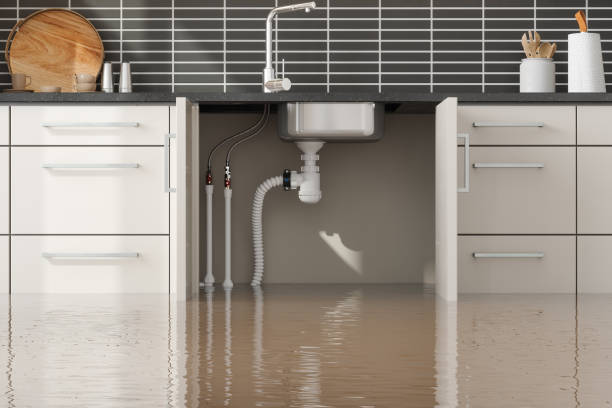 Best Water damage restoration cost  in Royersford, PA